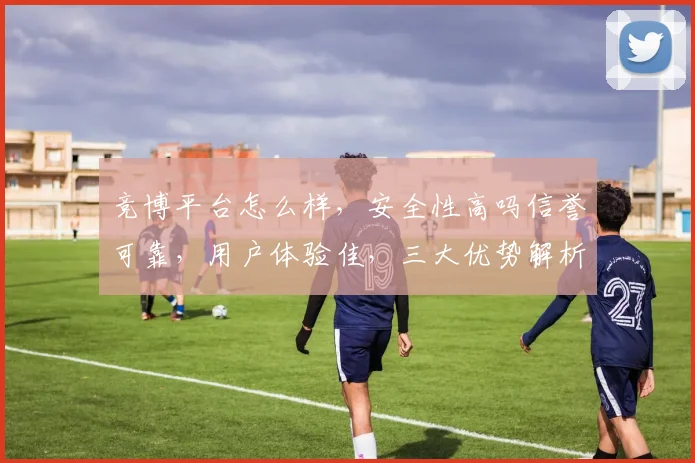竞博平台怎么样，安全性高吗信誉可靠，用户体验佳，三大优势解析，不容错过