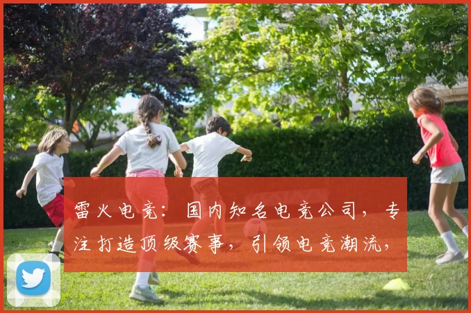 雷火电竞：国内知名电竞公司，专注打造顶级赛事，引领电竞潮流，三重优势，一触即发